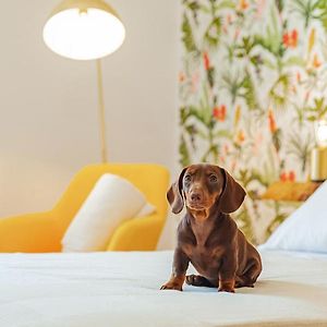 Deluxe Appartement
